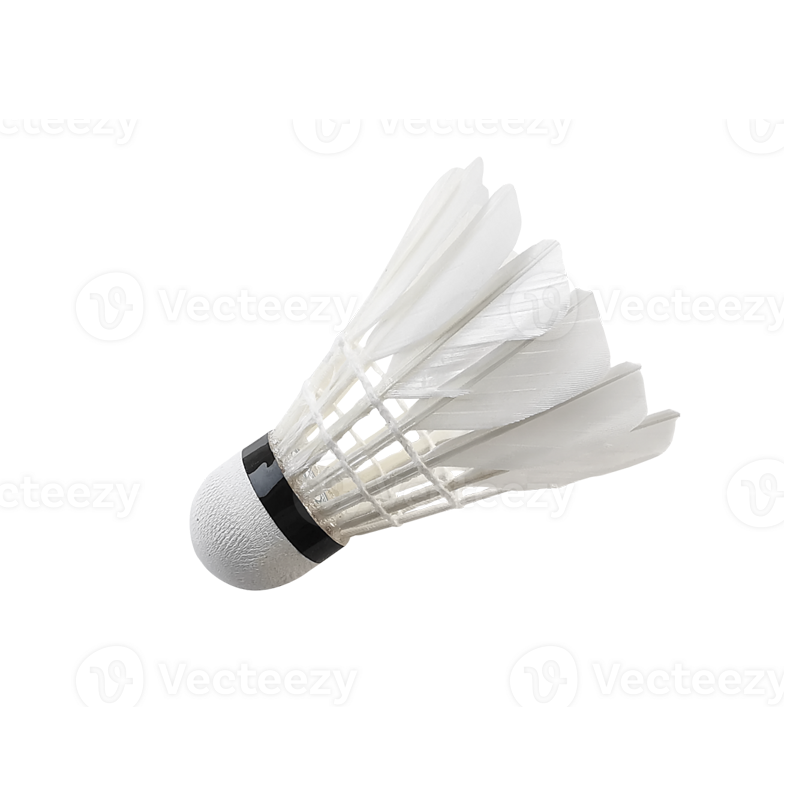 Badminton Balls